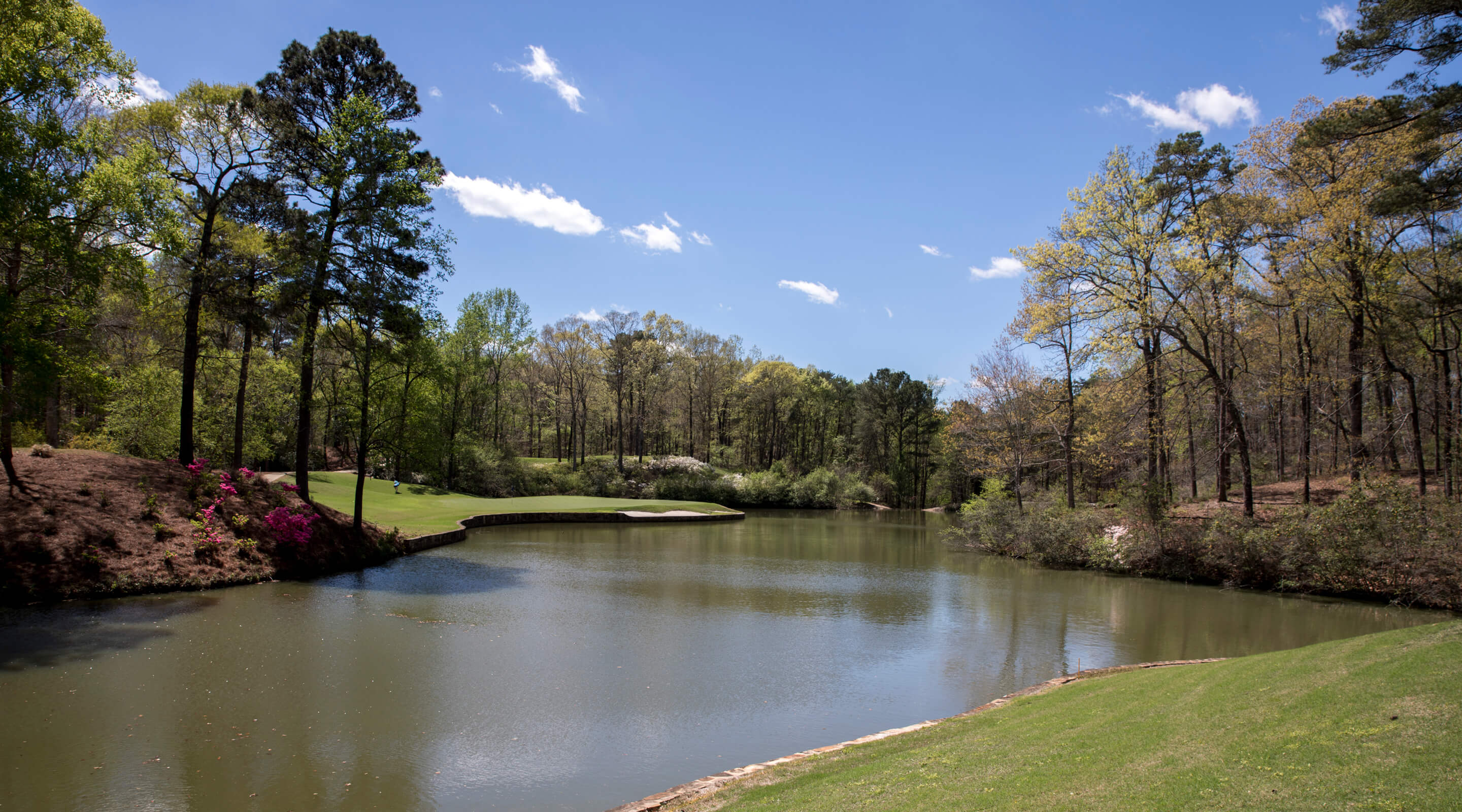 north river yacht club tuscaloosa al